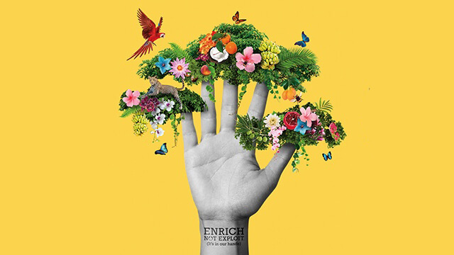 fr-homepage-engagement