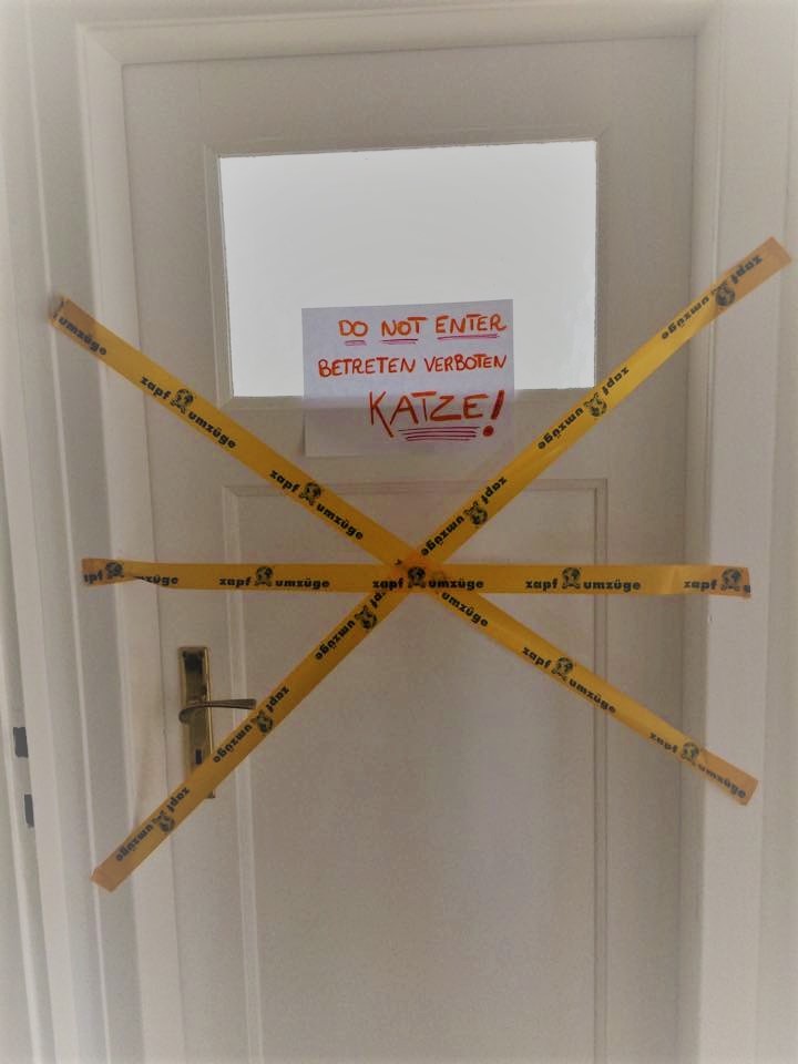 Comment survivre à un déménagement ? Trucs et&nbsp;astuces.