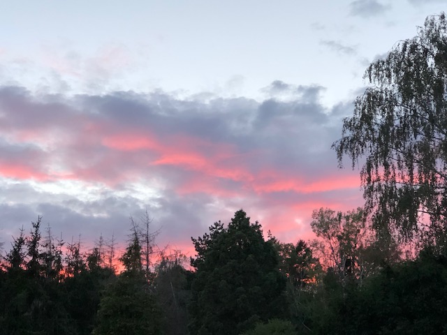 Mes astuces anti-stress